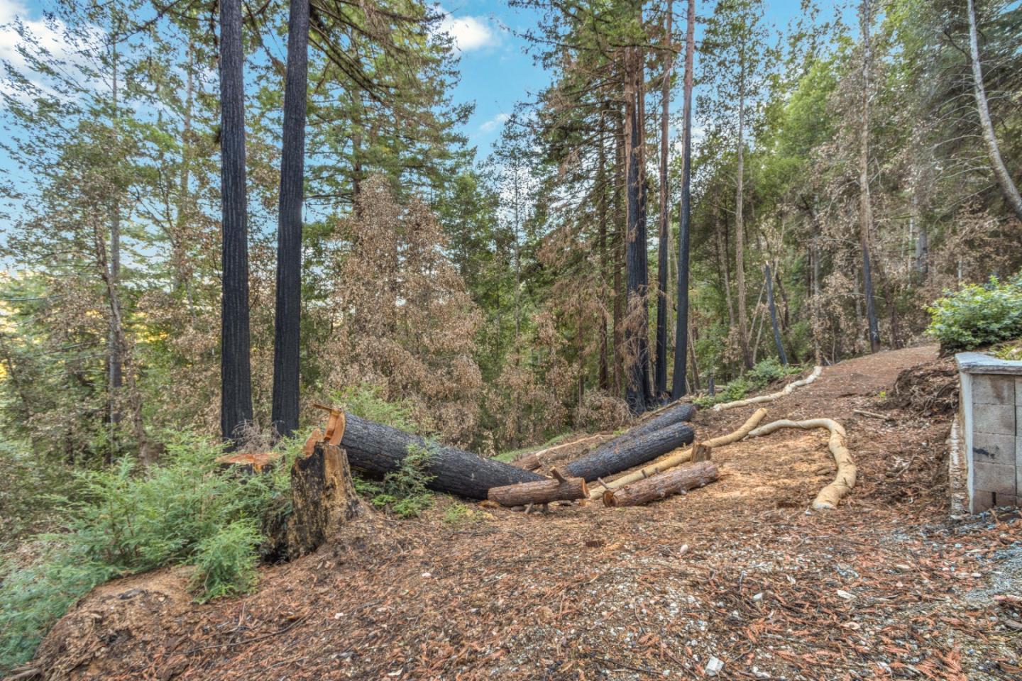 11980 Monan Way, BOULDER CREEK, California 95006, ,Lots And Land,For Sale,Monan Way,40974554