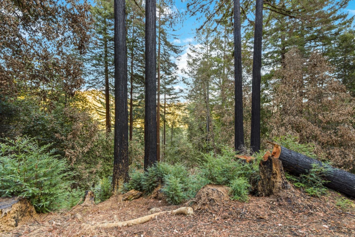 11980 Monan Way, BOULDER CREEK, California 95006, ,Lots And Land,For Sale,Monan Way,40974554