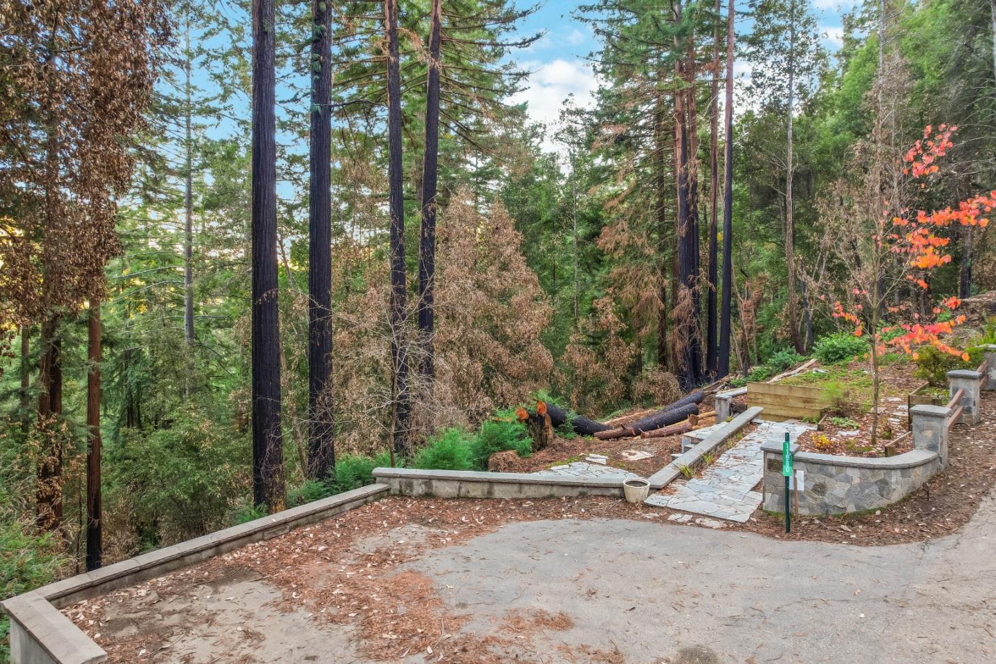 11980 Monan Way, BOULDER CREEK, California 95006, ,Lots And Land,For Sale,Monan Way,40974554
