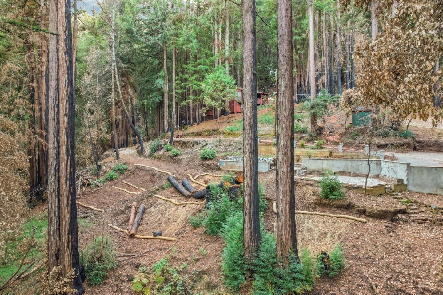 11980 Monan Way, BOULDER CREEK, California 95006, ,Lots And Land,For Sale,Monan Way,40974554