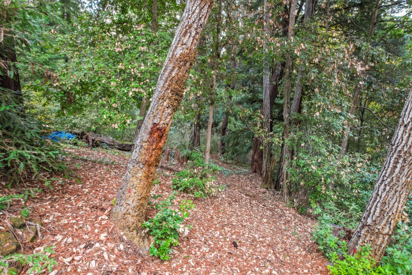 11980 Monan Way, BOULDER CREEK, California 95006, ,Lots And Land,For Sale,Monan Way,40974554