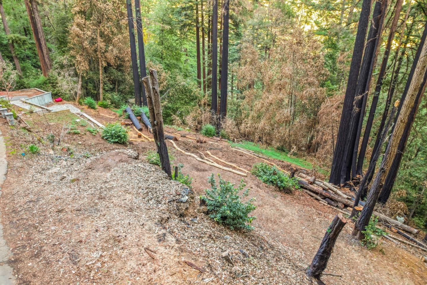 11980 Monan Way, BOULDER CREEK, California 95006, ,Lots And Land,For Sale,Monan Way,40974554