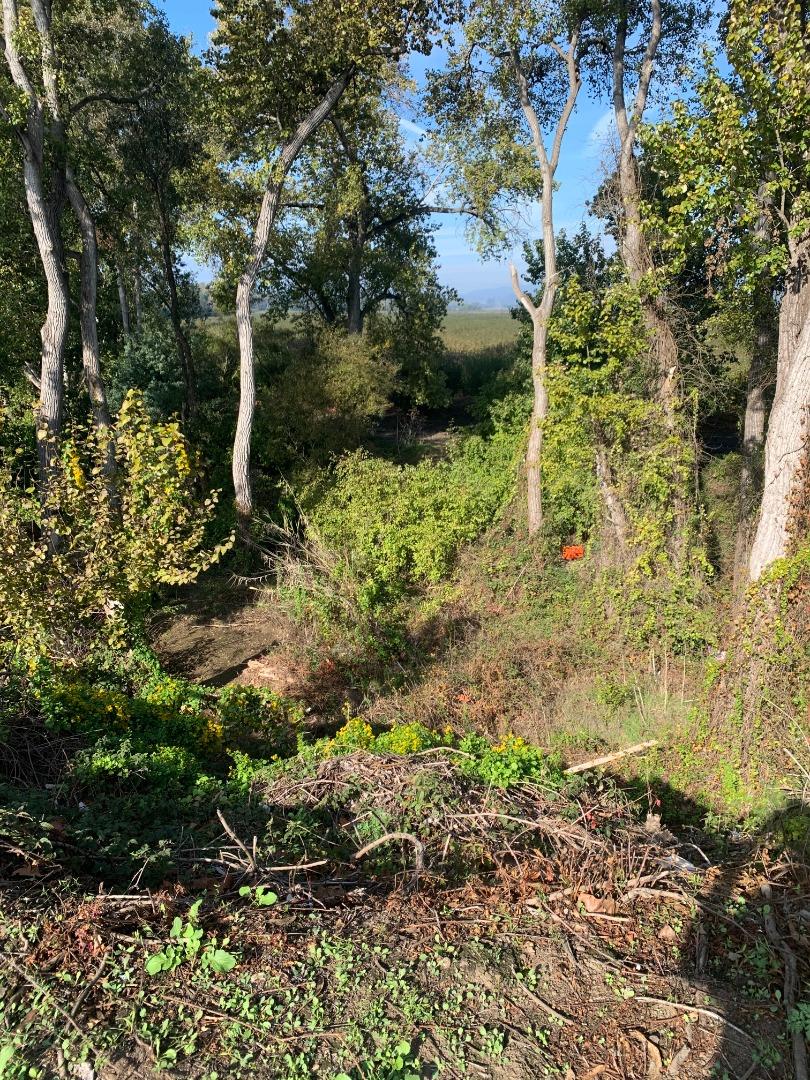 0 Airport Boulevard, WATSONVILLE, California 95076, ,Lots And Land,For Sale,Airport Boulevard,40974560