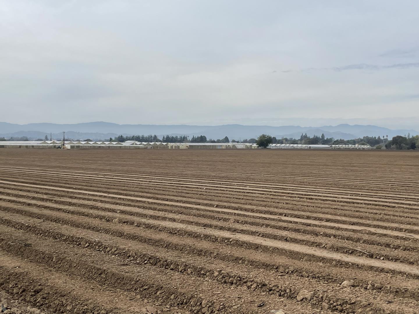 3115 Leavesley, GILROY, California 95020, ,Lots And Land,For Sale,Leavesley,40974566