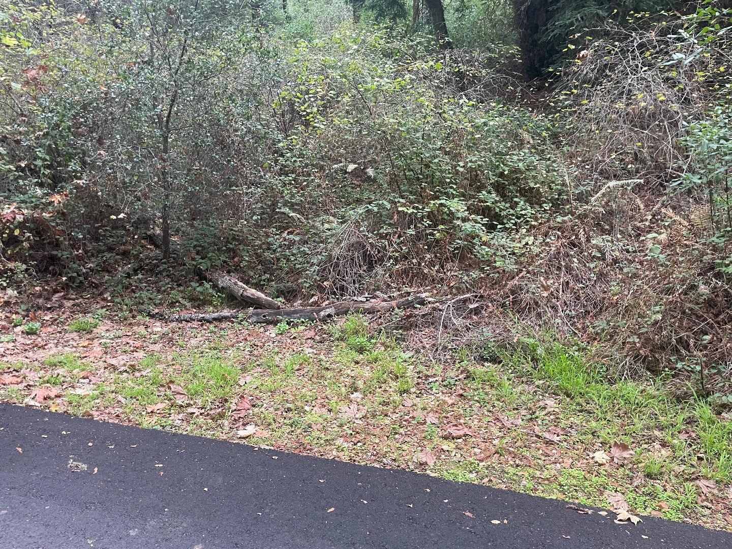 O Farr, APTOS, California 95003, ,Lots And Land,For Sale,Farr,40974804