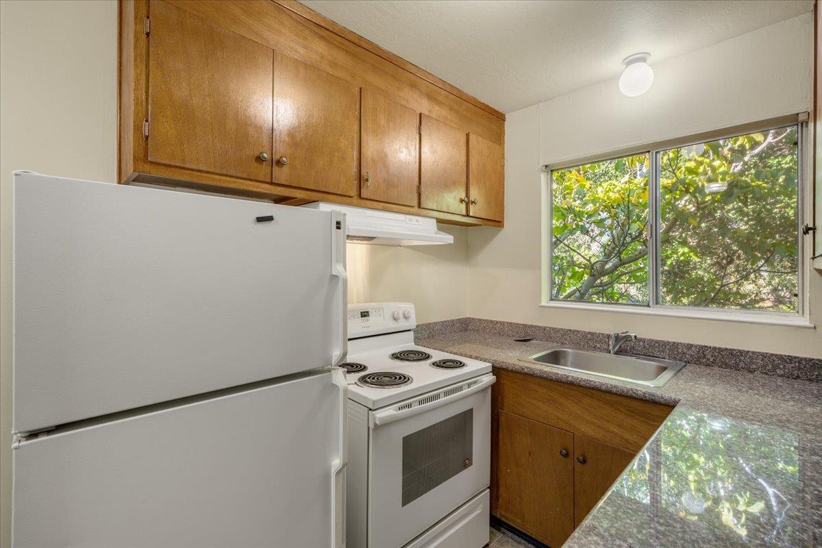 2422 Mckinley Avenue, BERKELEY, California 94703, ,Comm Ri Multi-units 5+,For Sale,Mckinley Avenue,ML81870889