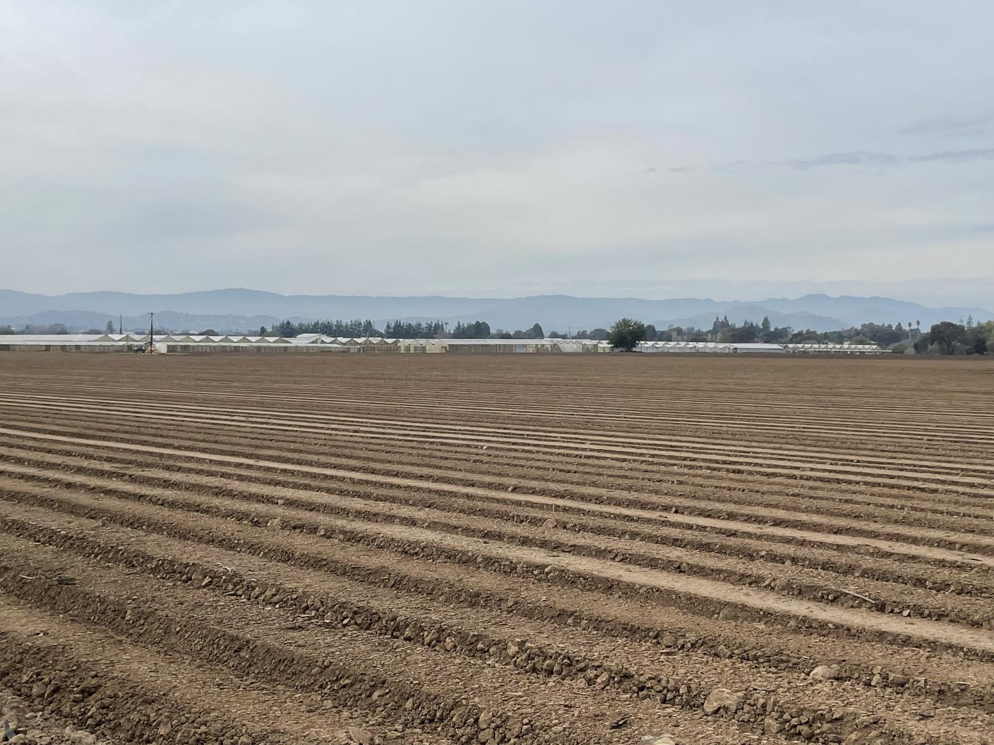 3115 Leavesley Rd, GILROY, California 95020, ,Comm Lots And Land,For Sale,Leavesley Rd,40974814