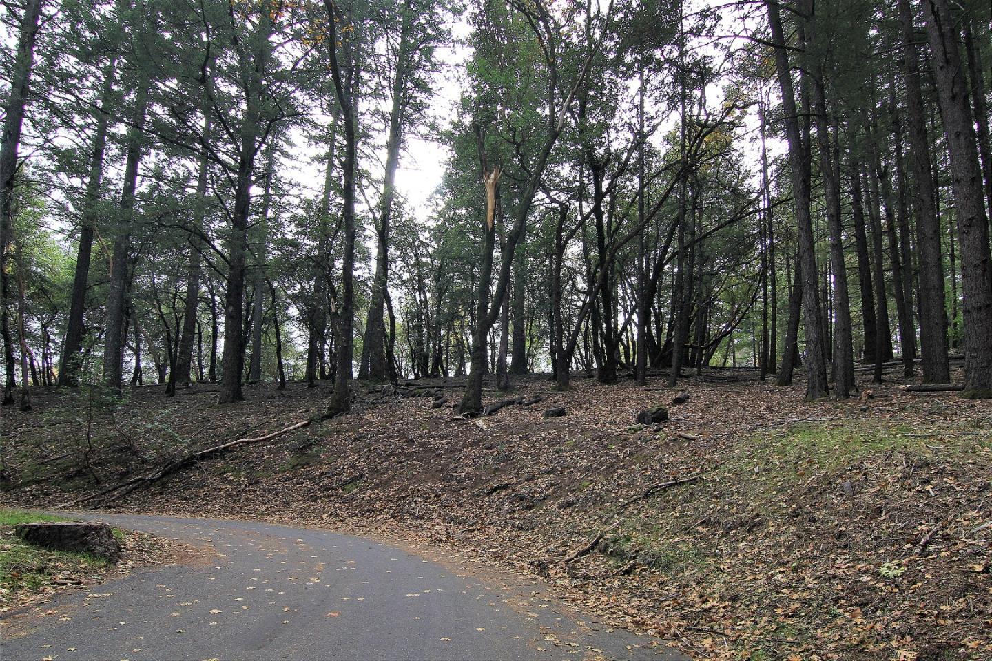 0 Old Vineyard, LOS GATOS, California 95033, ,Lots And Land,For Sale,Old Vineyard,40974813