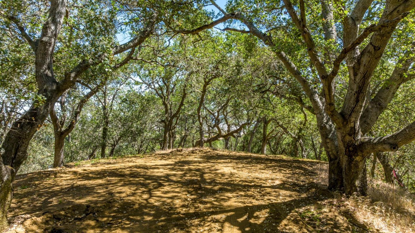 17380 Hawkins Ln, MORGAN HILL, California 95037, ,Lots And Land,For Sale,Hawkins Ln,40974826