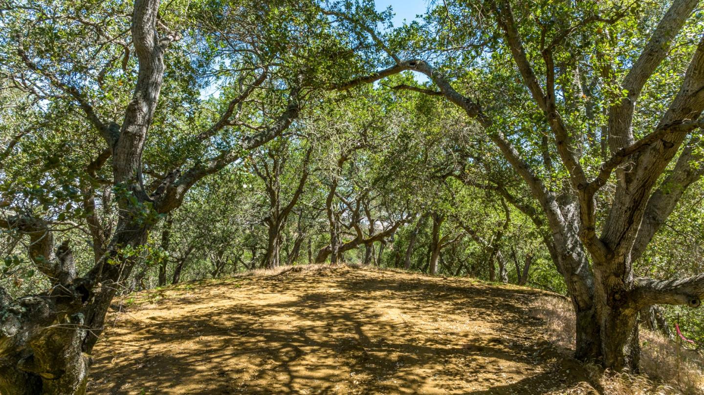 17380 Hawkins Ln, MORGAN HILL, California 95037, ,Lots And Land,For Sale,Hawkins Ln,40974826