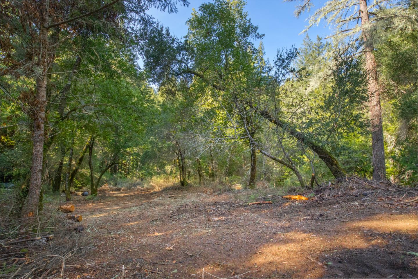 0 Harmon Gulch Road, BOULDER CREEK, California 95006, ,Lots And Land,For Sale,Harmon Gulch Road,40974827