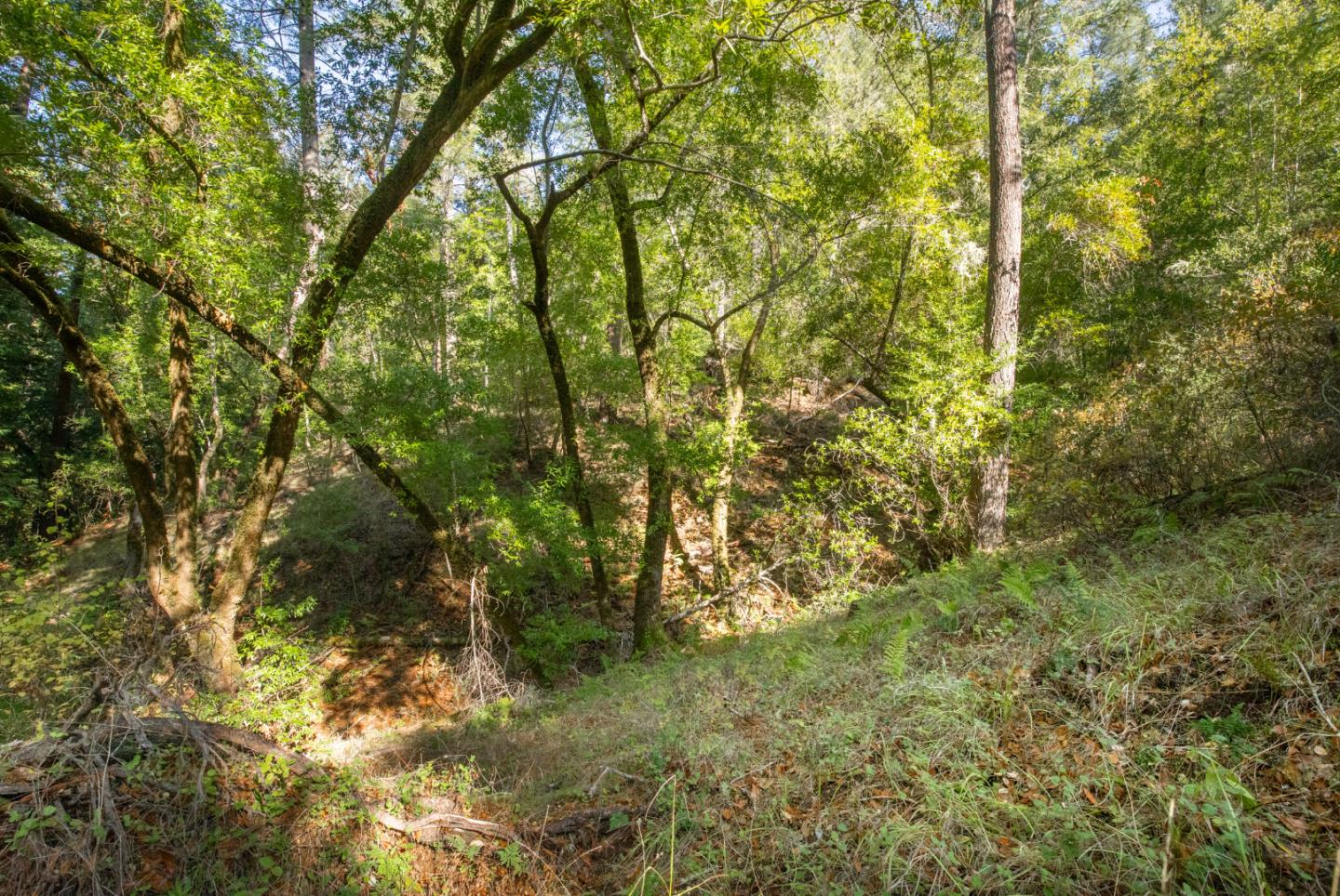 0 Harmon Gulch Road, BOULDER CREEK, California 95006, ,Lots And Land,For Sale,Harmon Gulch Road,40974827