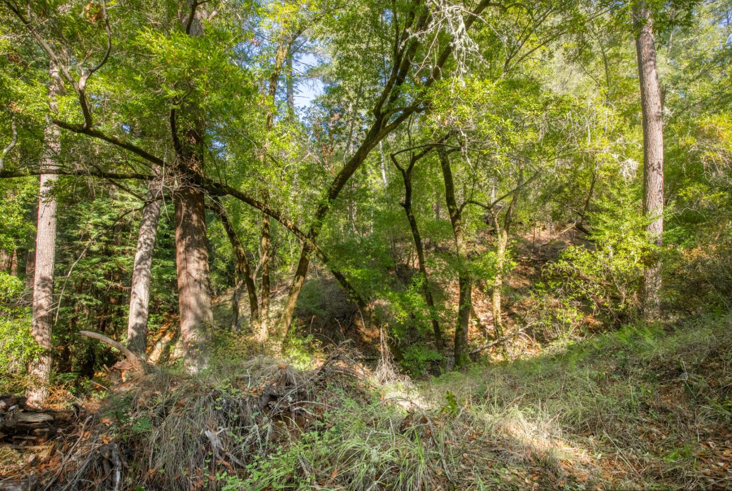 0 Harmon Gulch Road, BOULDER CREEK, California 95006, ,Lots And Land,For Sale,Harmon Gulch Road,40974827