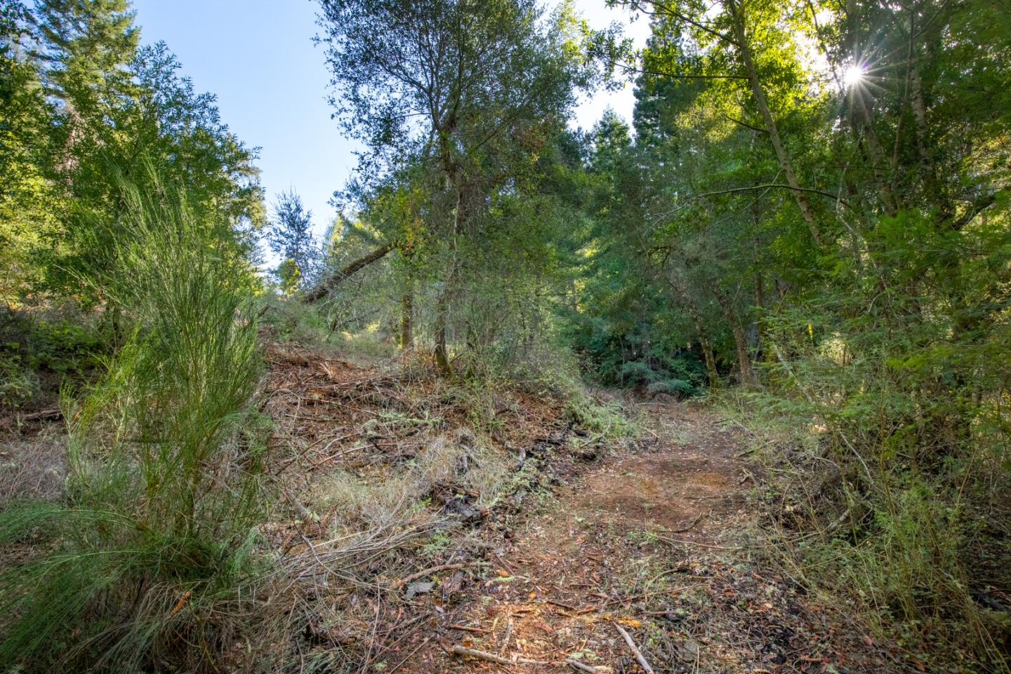 0 Harmon Gulch Road, BOULDER CREEK, California 95006, ,Lots And Land,For Sale,Harmon Gulch Road,40974827