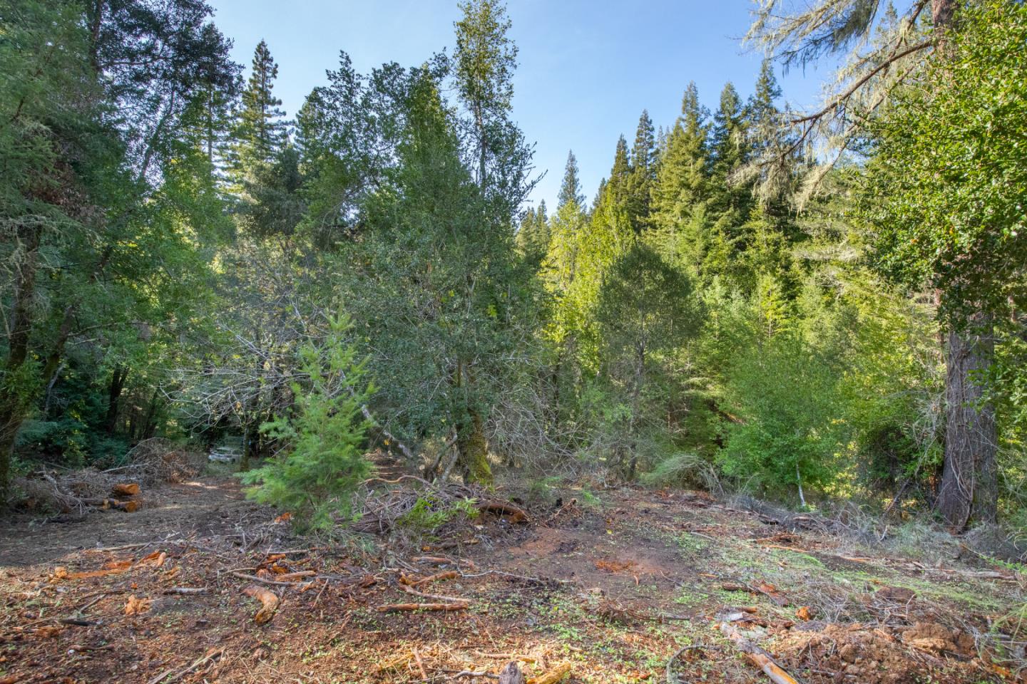 0 Harmon Gulch Road, BOULDER CREEK, California 95006, ,Lots And Land,For Sale,Harmon Gulch Road,40974827