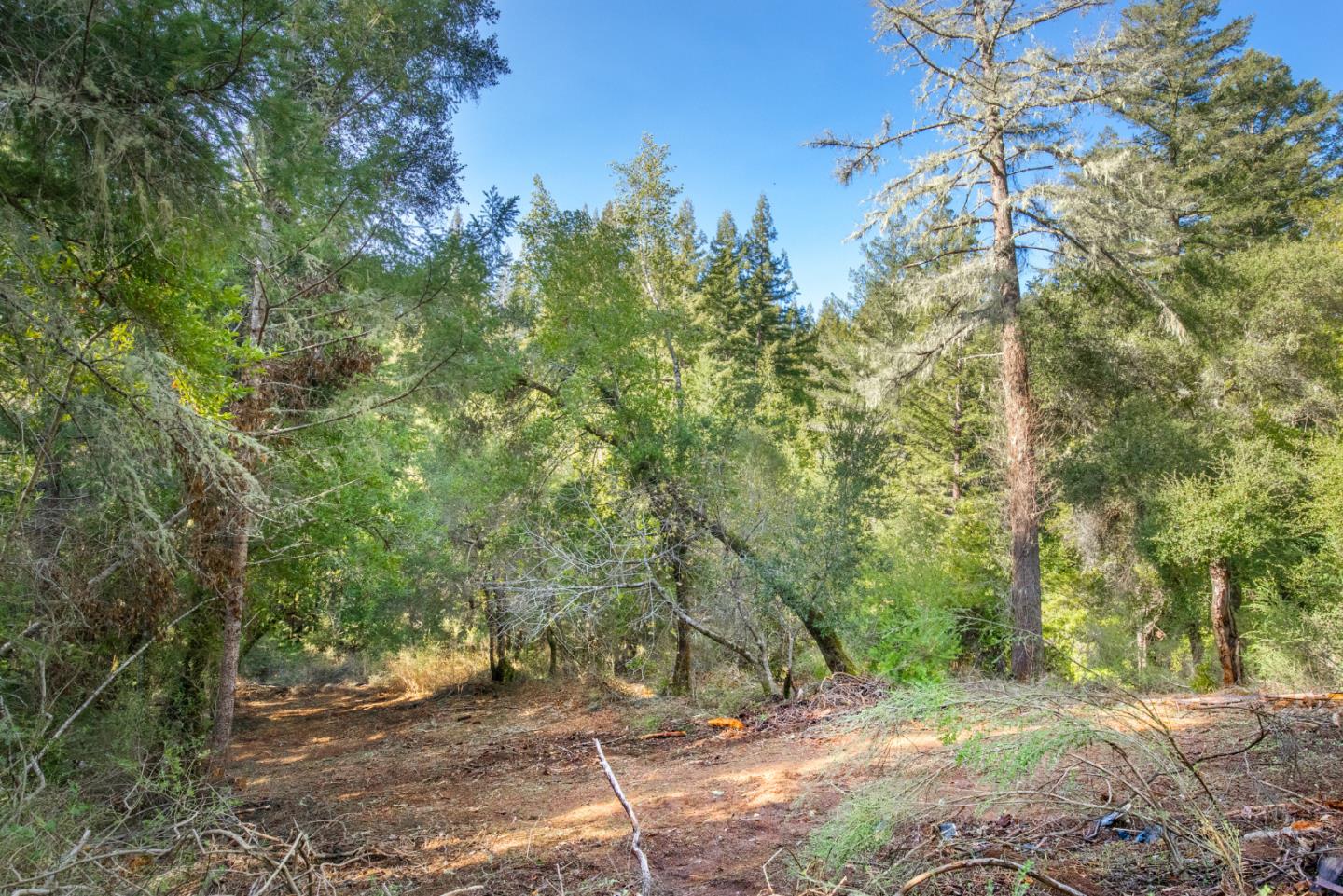 0 Harmon Gulch Road, BOULDER CREEK, California 95006, ,Lots And Land,For Sale,Harmon Gulch Road,40974827