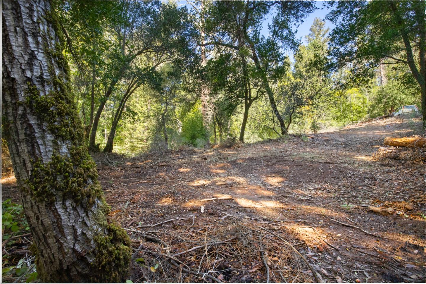 0 Harmon Gulch Road, BOULDER CREEK, California 95006, ,Lots And Land,For Sale,Harmon Gulch Road,40974827