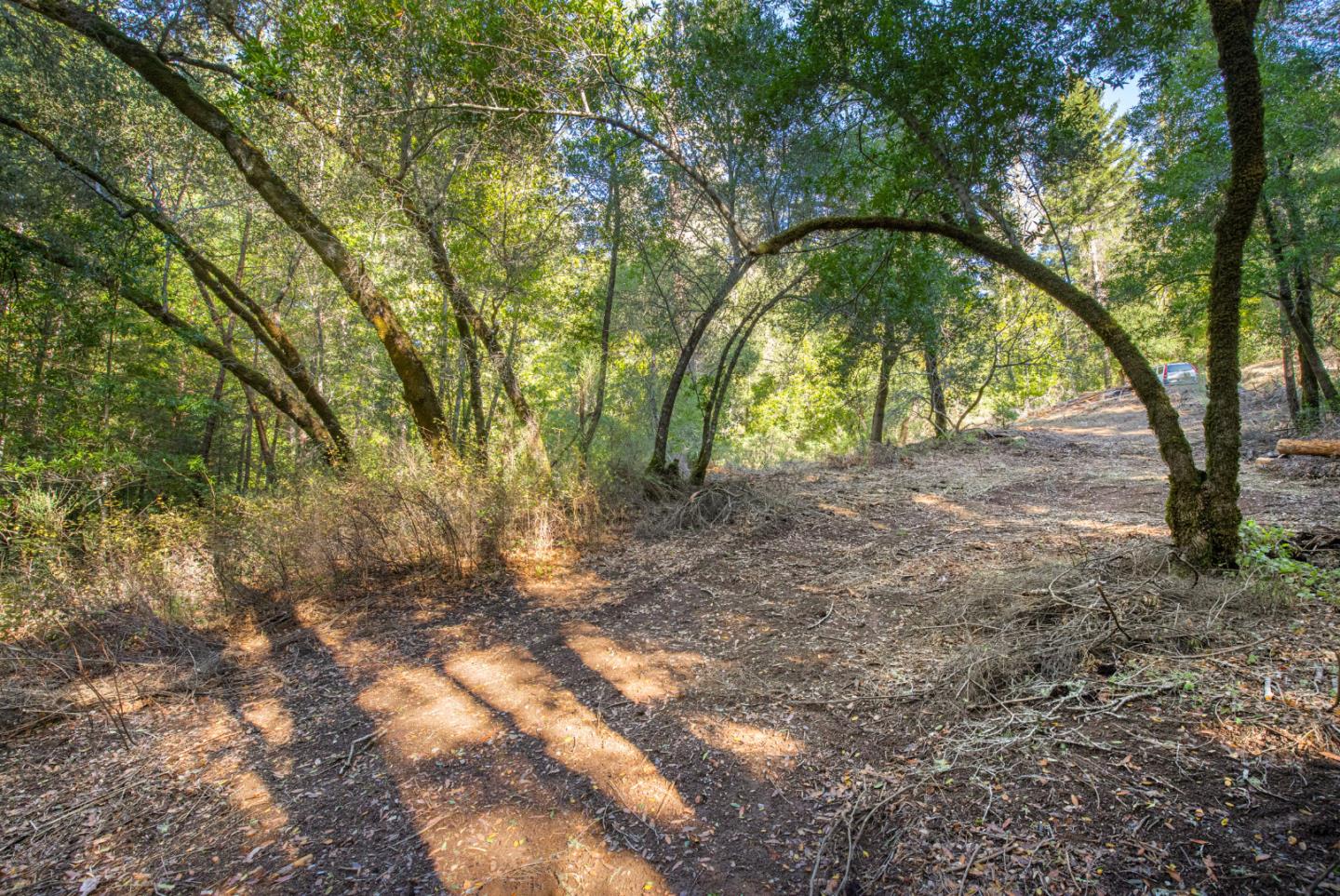 0 Harmon Gulch Road, BOULDER CREEK, California 95006, ,Lots And Land,For Sale,Harmon Gulch Road,40974827