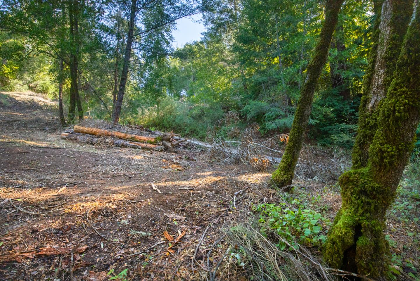 0 Harmon Gulch Road, BOULDER CREEK, California 95006, ,Lots And Land,For Sale,Harmon Gulch Road,40974827