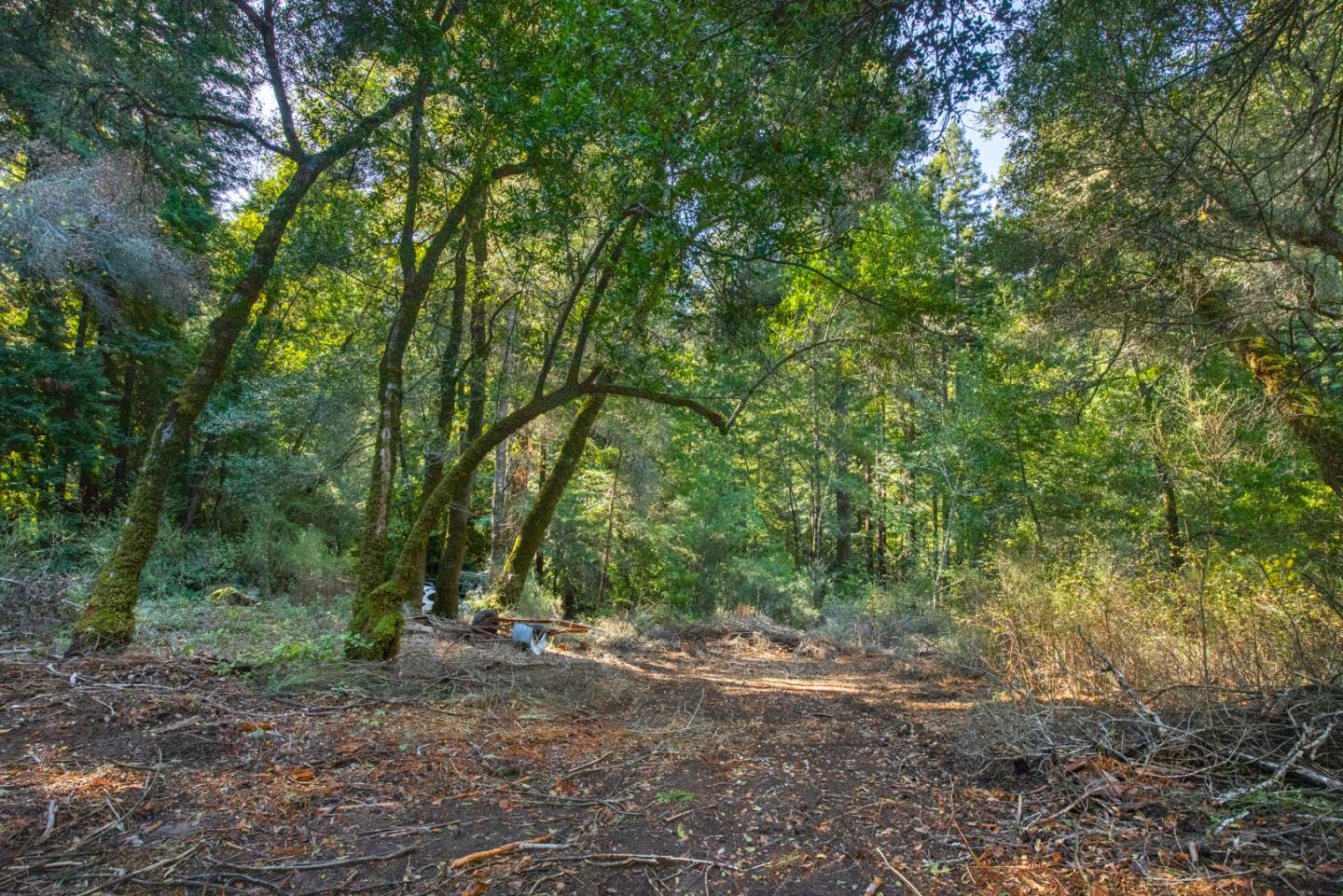 0 Harmon Gulch Road, BOULDER CREEK, California 95006, ,Lots And Land,For Sale,Harmon Gulch Road,40974827