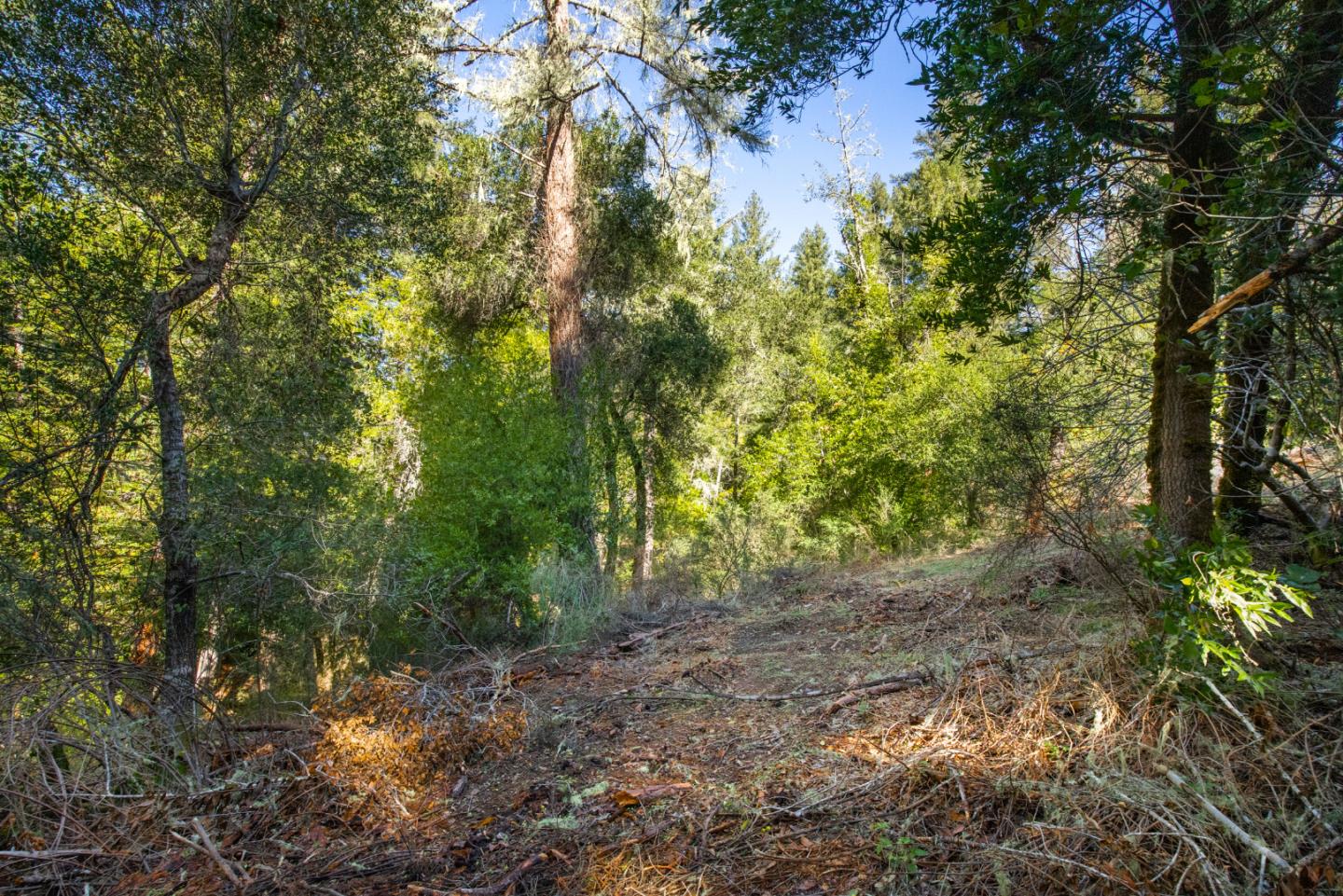 0 Harmon Gulch Road, BOULDER CREEK, California 95006, ,Lots And Land,For Sale,Harmon Gulch Road,40974827
