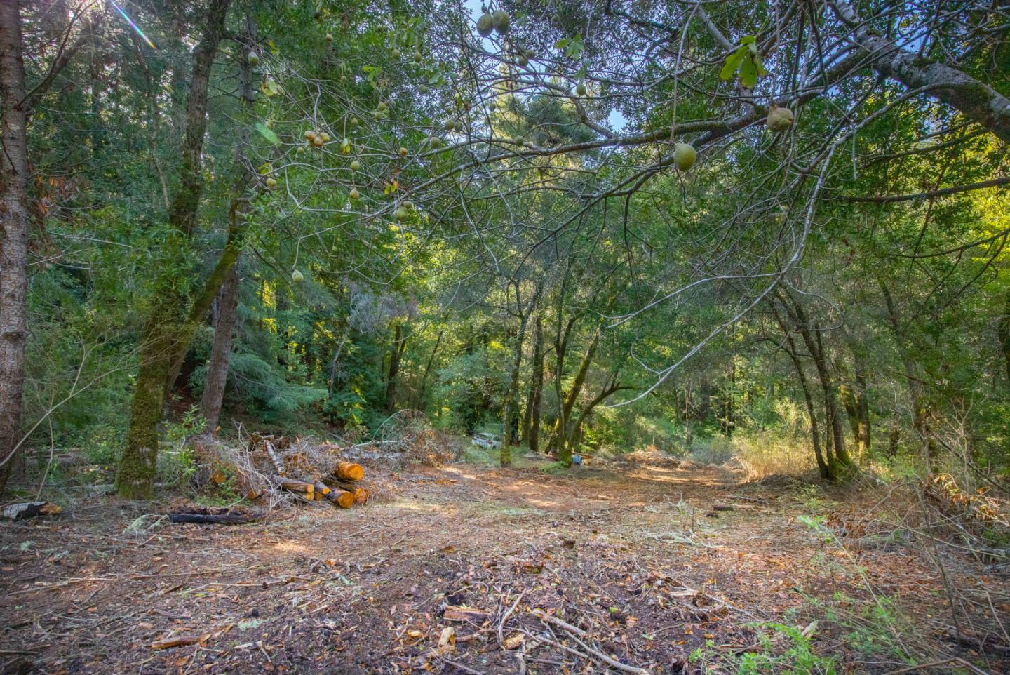 0 Harmon Gulch Road, BOULDER CREEK, California 95006, ,Lots And Land,For Sale,Harmon Gulch Road,40974827