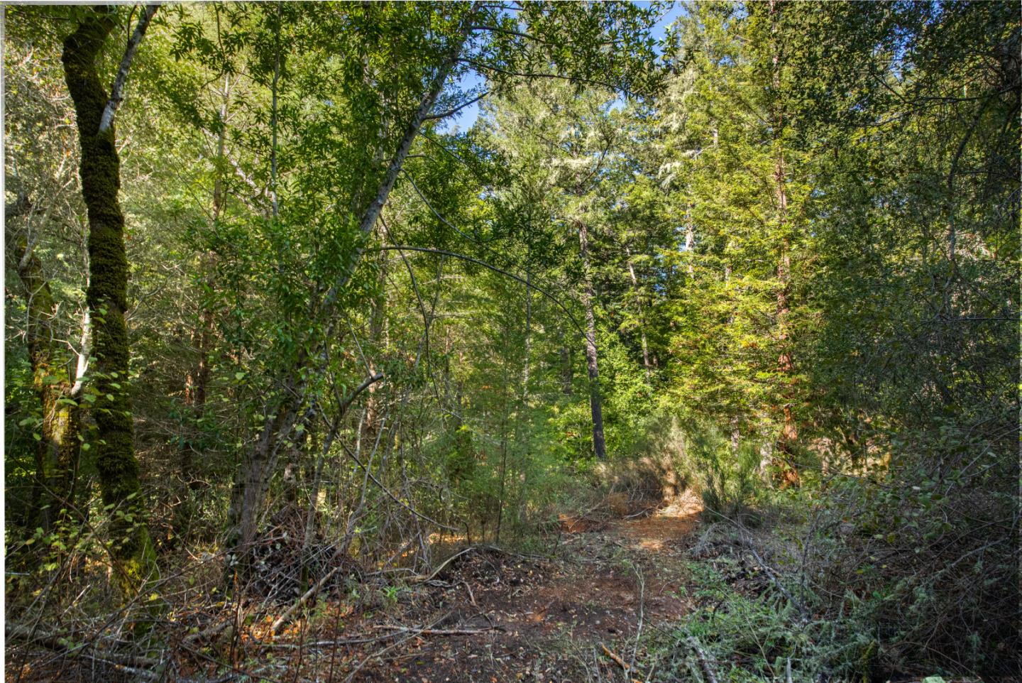0 Harmon Gulch Road, BOULDER CREEK, California 95006, ,Lots And Land,For Sale,Harmon Gulch Road,40974827