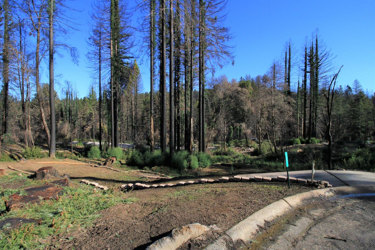 134 Cypress Tree Lane, BOULDER CREEK, California 95006, ,Lots And Land,For Sale,Cypress Tree Lane,40974842