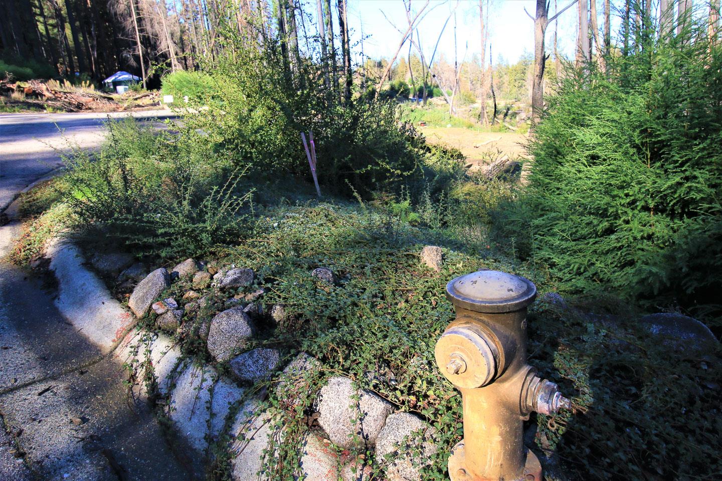 134 Cypress Tree Lane, BOULDER CREEK, California 95006, ,Lots And Land,For Sale,Cypress Tree Lane,40974842