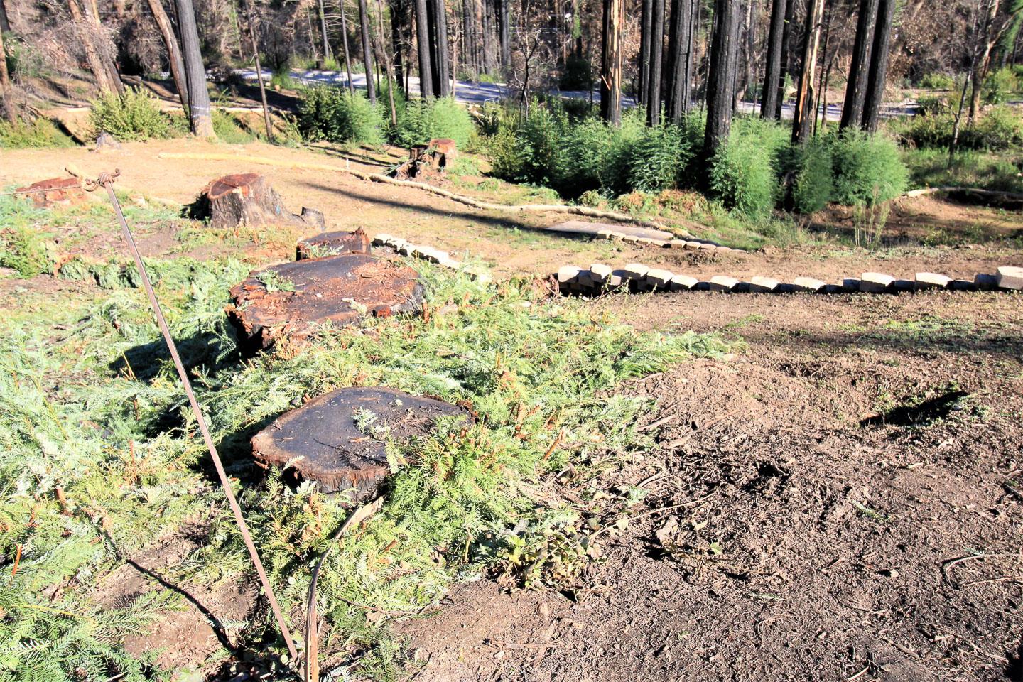 134 Cypress Tree Lane, BOULDER CREEK, California 95006, ,Lots And Land,For Sale,Cypress Tree Lane,40974842