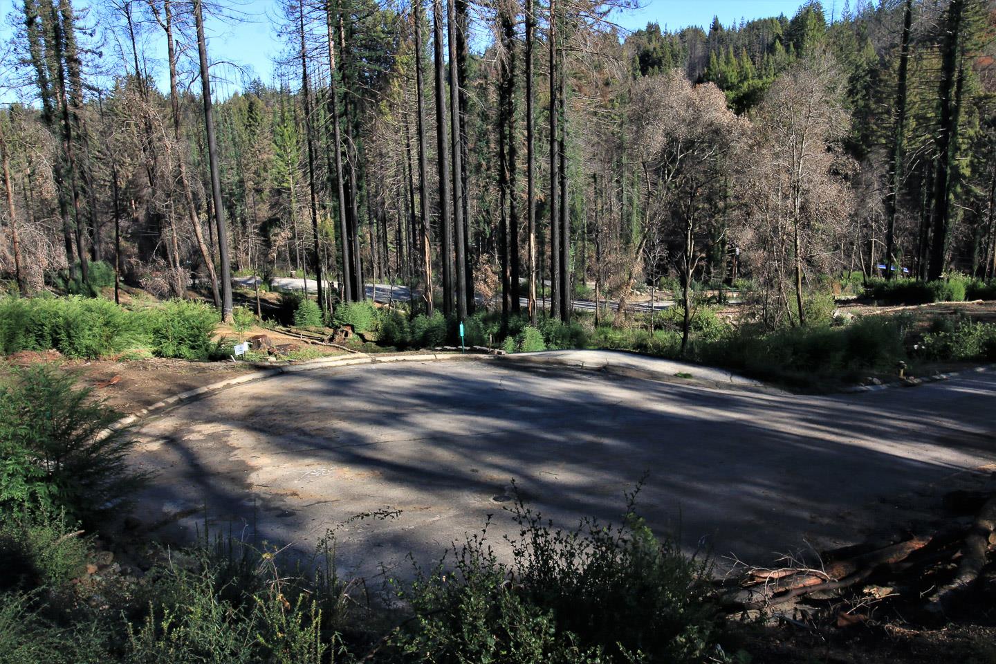 134 Cypress Tree Lane, BOULDER CREEK, California 95006, ,Lots And Land,For Sale,Cypress Tree Lane,40974842