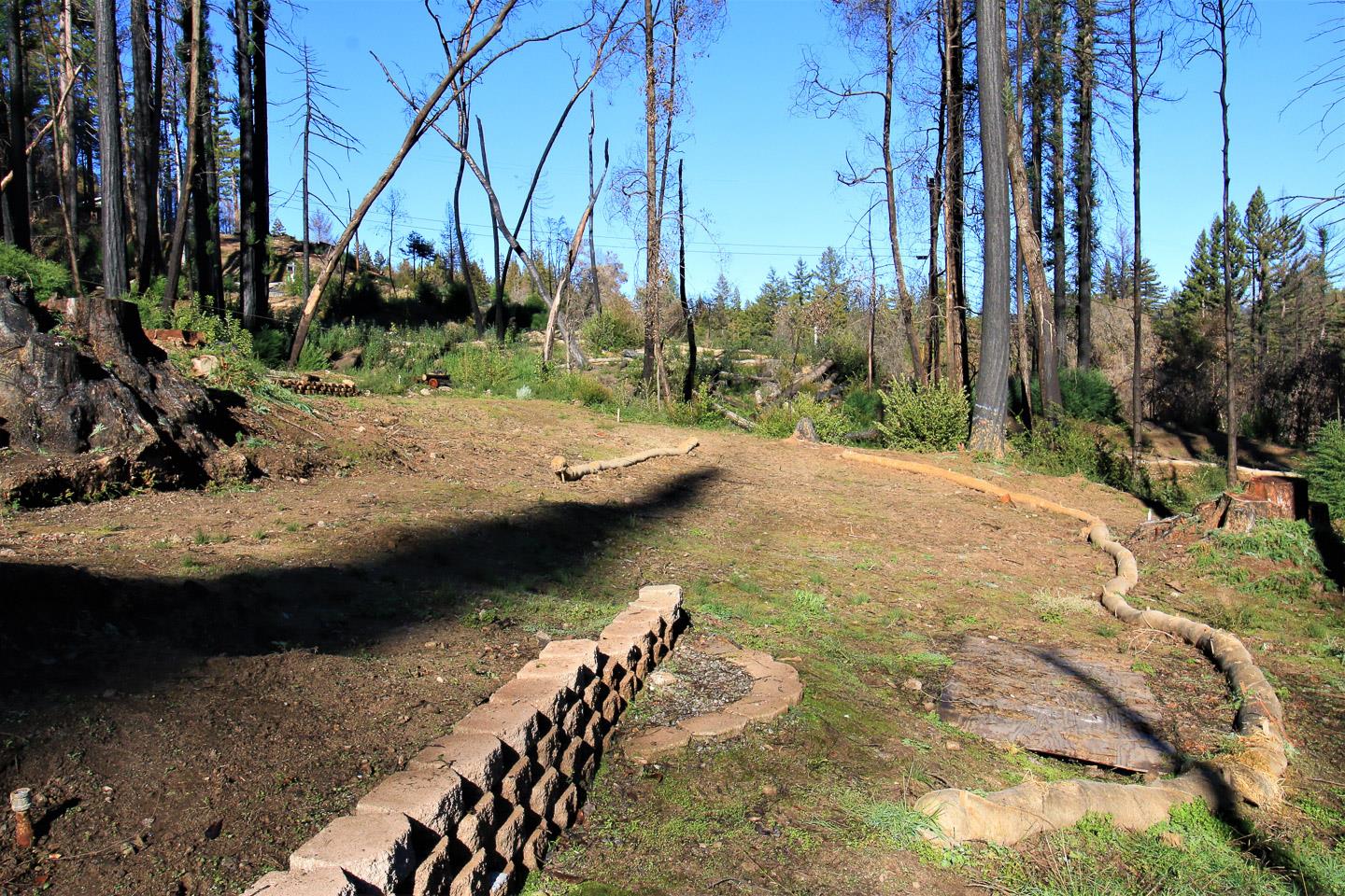 134 Cypress Tree Lane, BOULDER CREEK, California 95006, ,Lots And Land,For Sale,Cypress Tree Lane,40974842