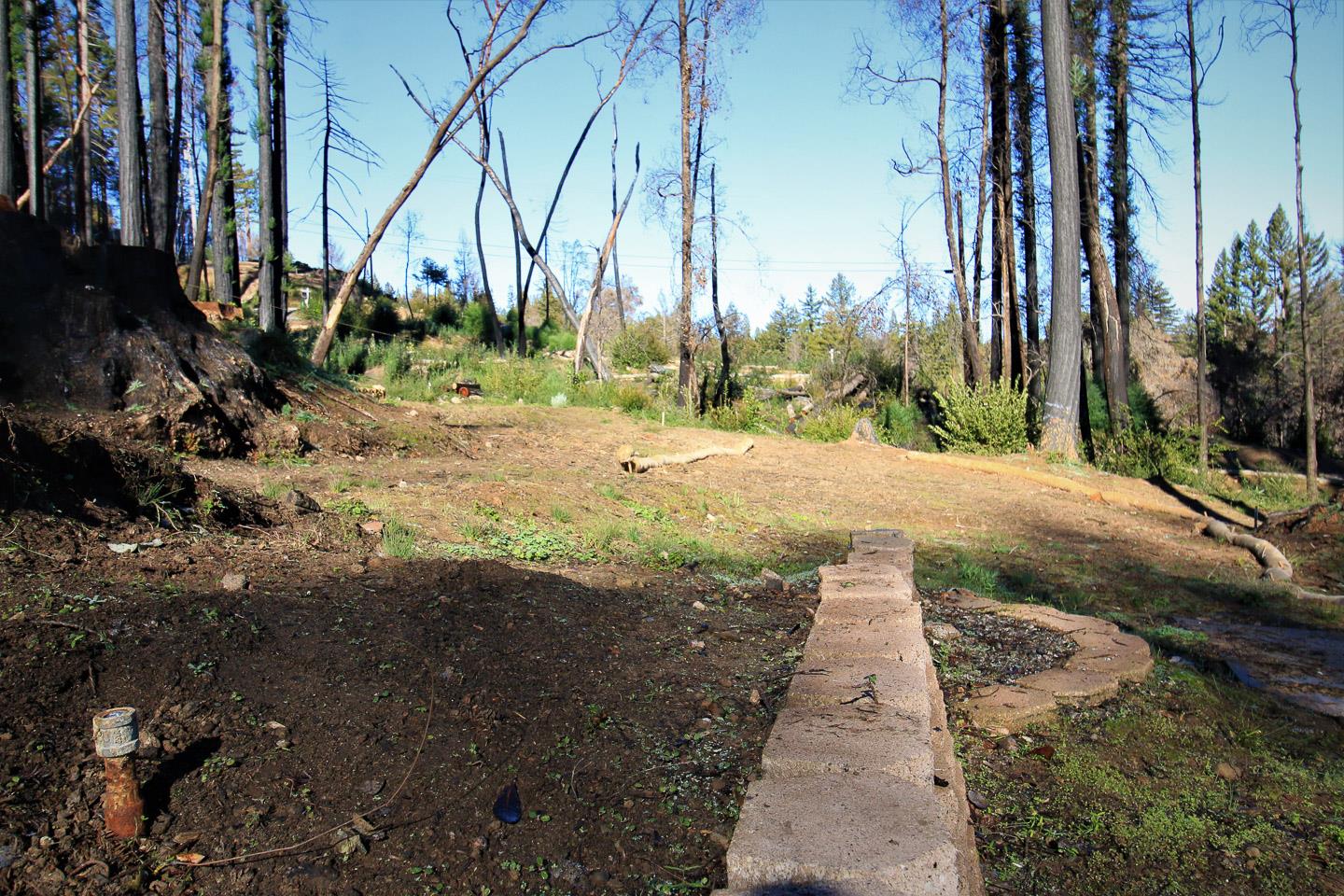 134 Cypress Tree Lane, BOULDER CREEK, California 95006, ,Lots And Land,For Sale,Cypress Tree Lane,40974842