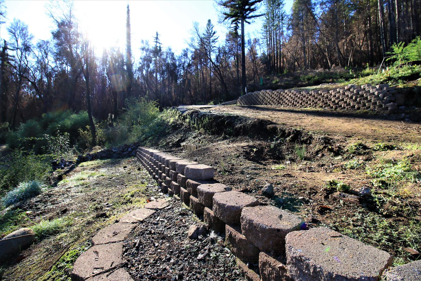 134 Cypress Tree Lane, BOULDER CREEK, California 95006, ,Lots And Land,For Sale,Cypress Tree Lane,40974842