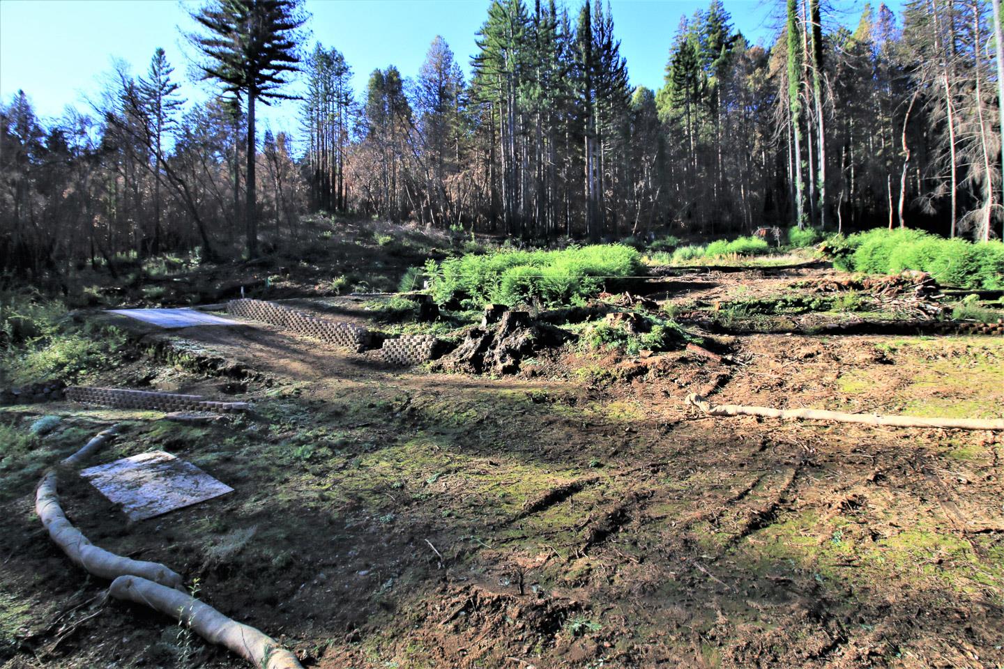 134 Cypress Tree Lane, BOULDER CREEK, California 95006, ,Lots And Land,For Sale,Cypress Tree Lane,40974842