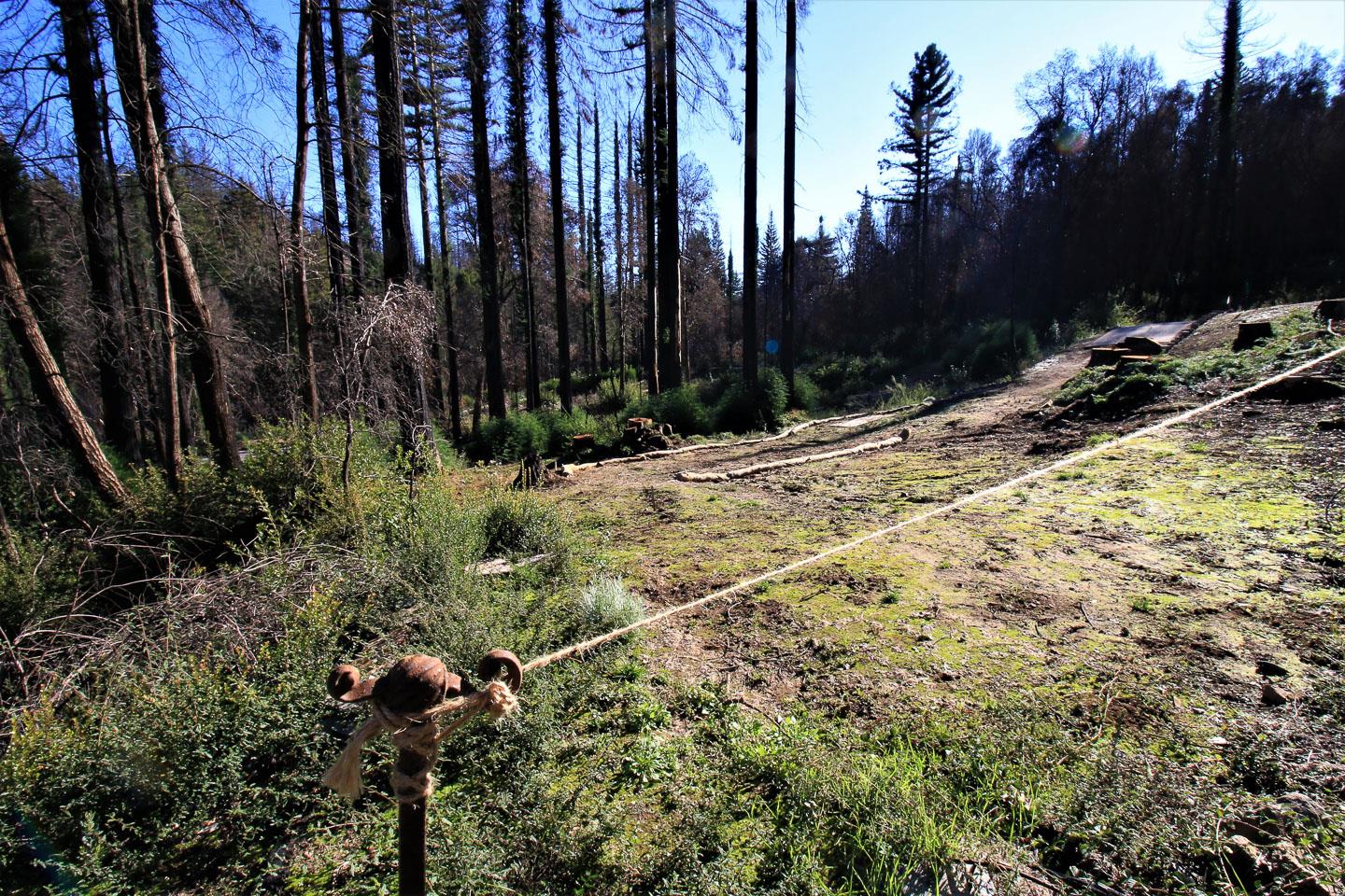 134 Cypress Tree Lane, BOULDER CREEK, California 95006, ,Lots And Land,For Sale,Cypress Tree Lane,40974842