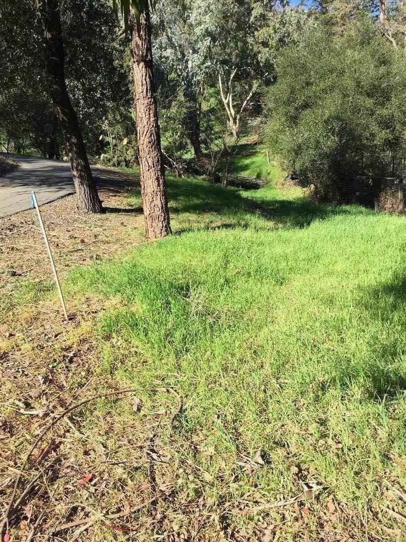 221 DEAN Road, ALAMO, California 94507, ,Lots And Land,For Sale,DEAN Road,40975195