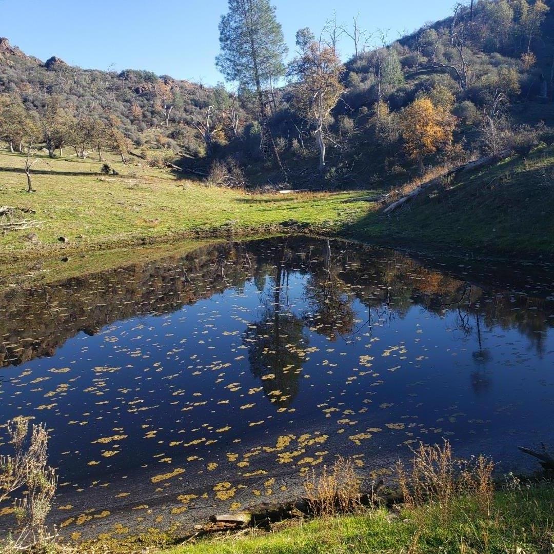 0 San Antonio Valley Road, SAN JOSE, California 95140, ,Lots And Land,For Sale,San Antonio Valley Road,40975196