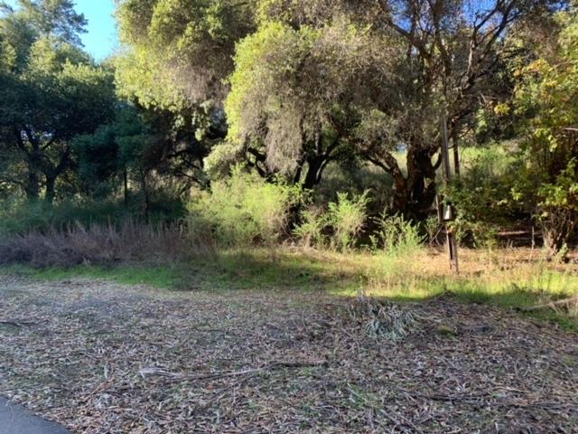 0 Congress Springs Road, SARATOGA, California 95070, ,Lots And Land,For Sale,Congress Springs Road,40975679