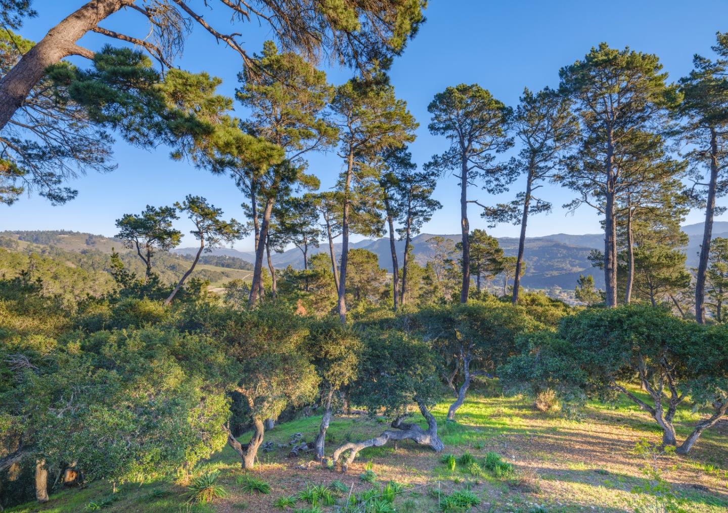 154 Del Mesa Carmel, Carmel, CA 93923 2 Beds 2 Baths (Sold