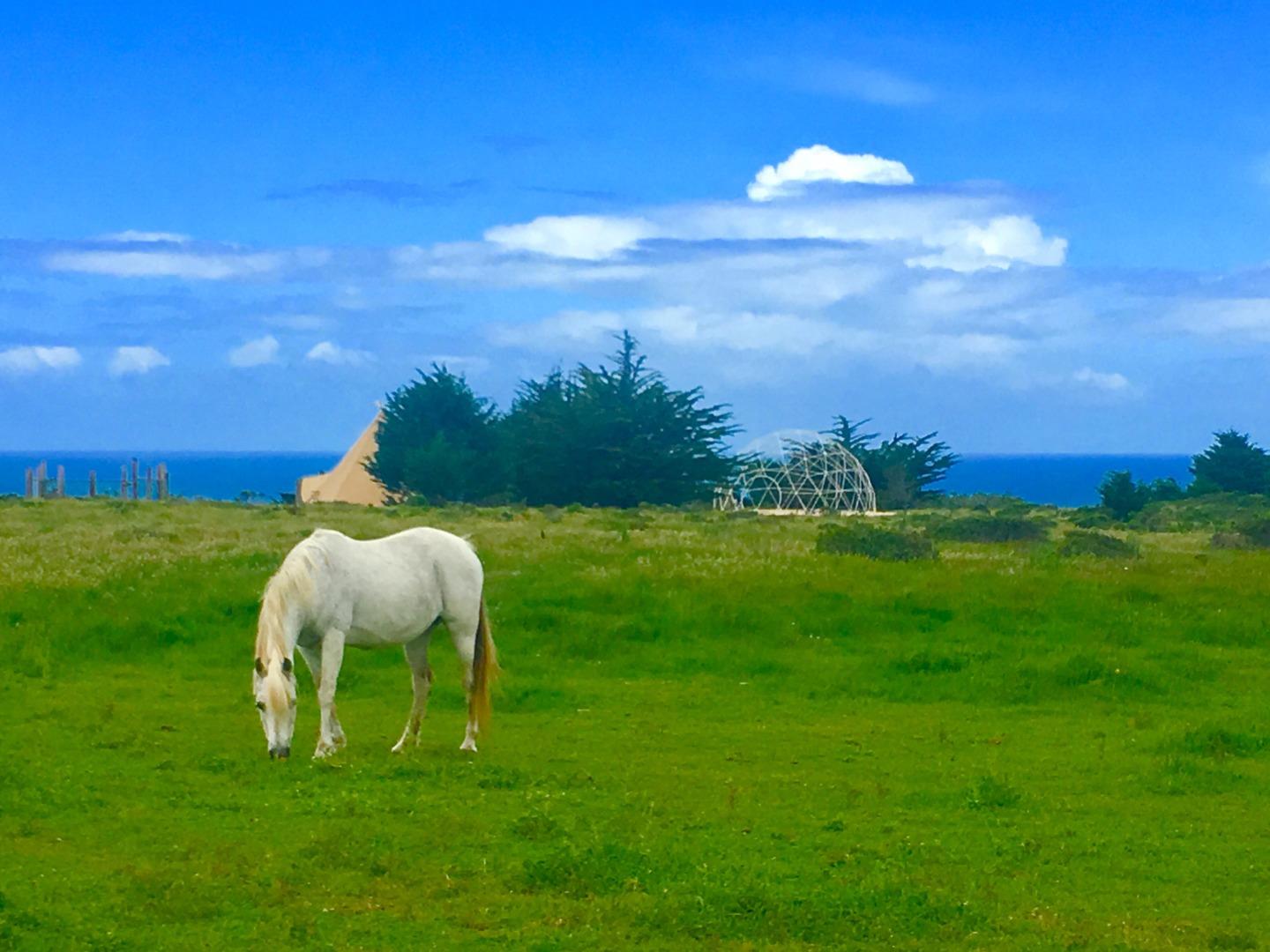 Detail Gallery Image 1 of 1 For 000 Pigeon Point Rd, Pescadero,  CA 94060 - – Beds | – Baths