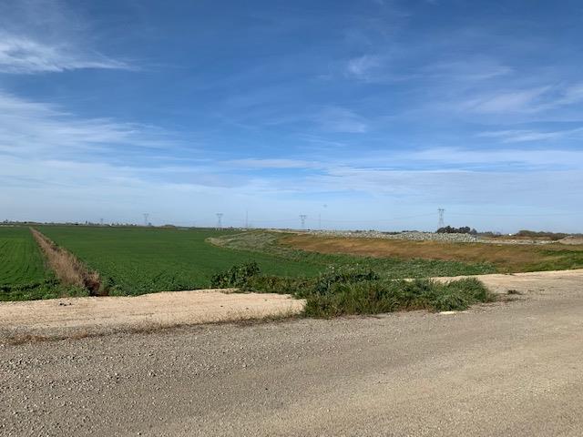 Detail Gallery Image 8 of 17 For 0 Orwood Tract Levee Rd, Knightsen,  CA 94548 - – Beds | – Baths