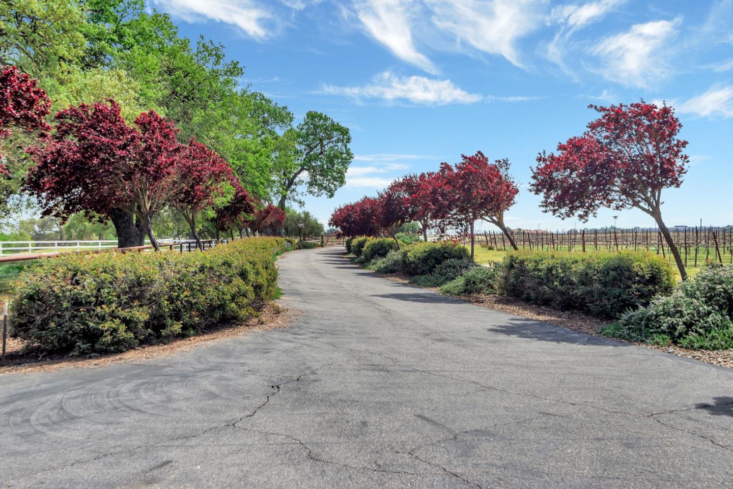 Detail Gallery Image 1 of 1 For 5995 Martingale Cir, San Miguel,  CA 93451 - 3 Beds | 2/1 Baths