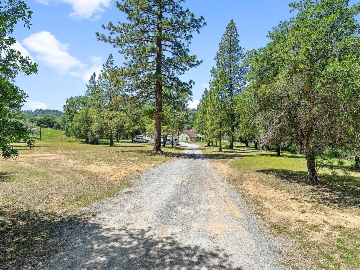 Detail Gallery Image 1 of 1 For 3640 Coon Hollow Rd, Placerville,  CA 95667 - 3 Beds | 2 Baths