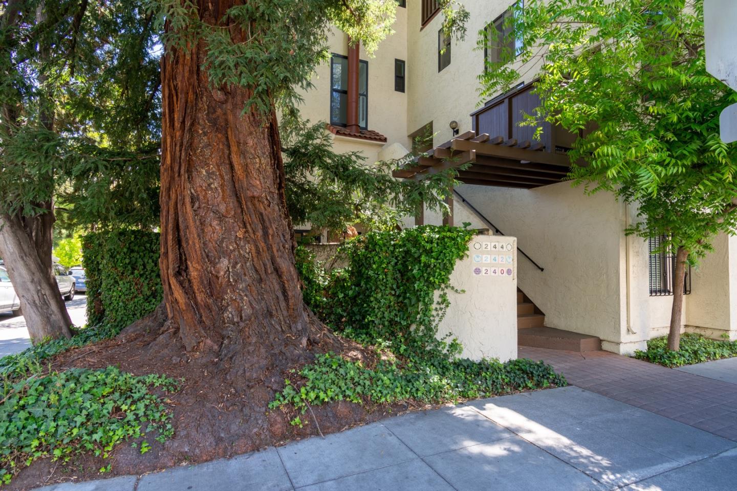 Detail Gallery Image 1 of 1 For 240 Forest Ave, Palo Alto,  CA 94301 - 2 Beds | 2 Baths