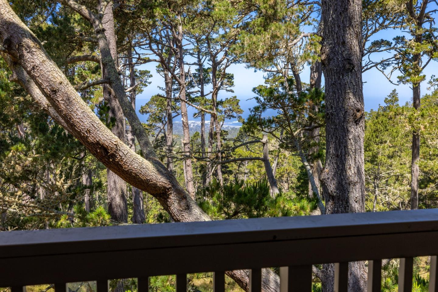 Detail Gallery Image 1 of 1 For 250 Forest Ridge Rd #51,  Monterey,  CA 93940 - 2 Beds | 2 Baths