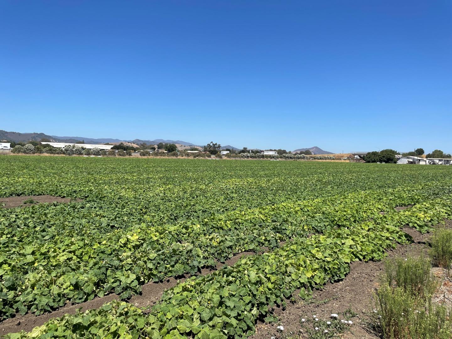 0 Kannely Ln, San Martin, CA 95046 Beds Baths (Sold