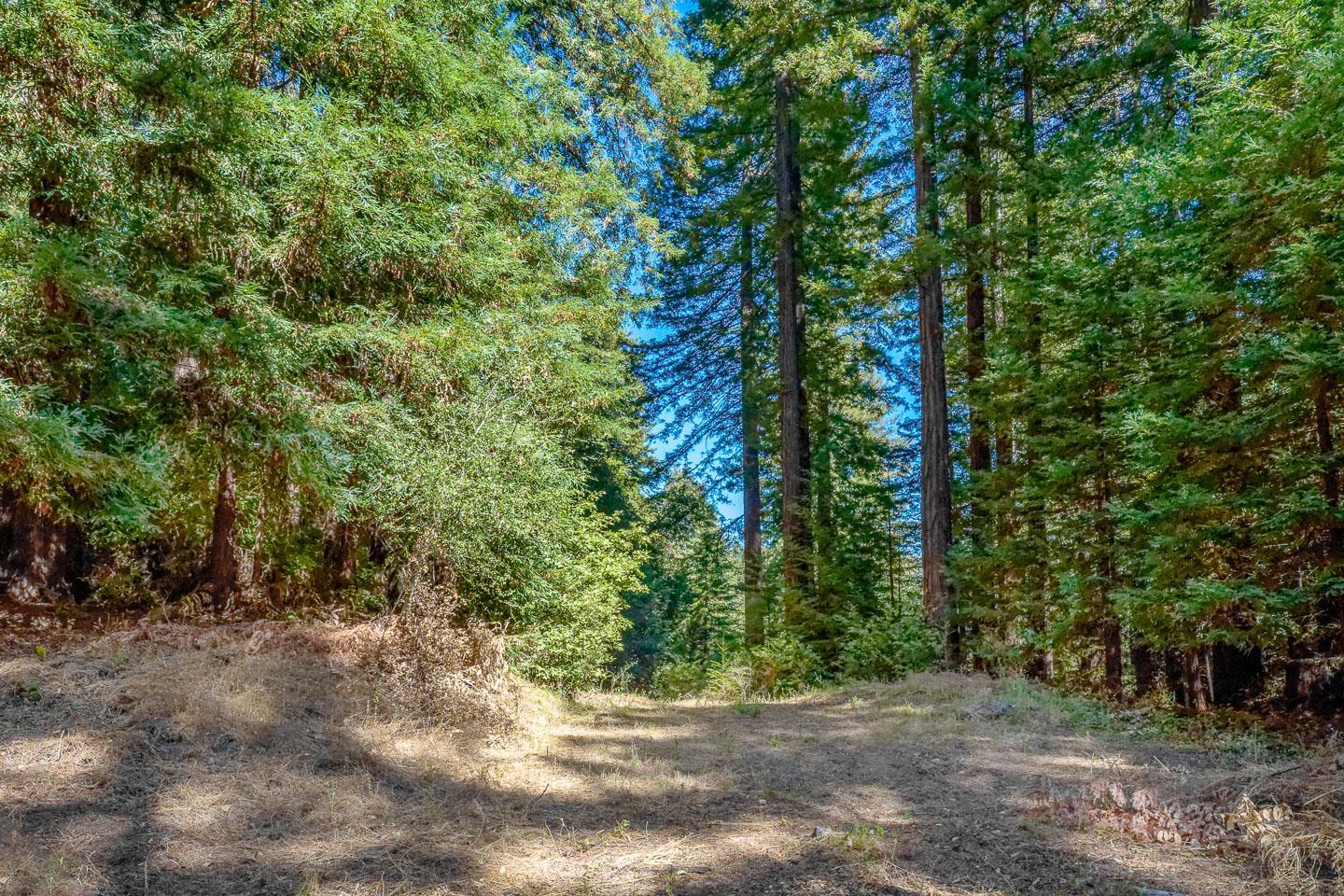 220 Taylor Rd, Ben Lomond, CA 95005 3 Beds 2 Baths (Active