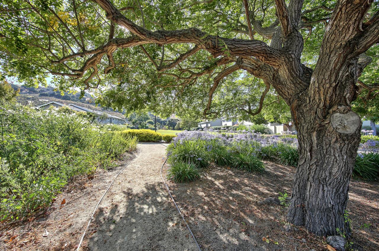 19519 Creekside Ct, Salinas, CA 93908 3 Beds 2/1 Baths (Canceled