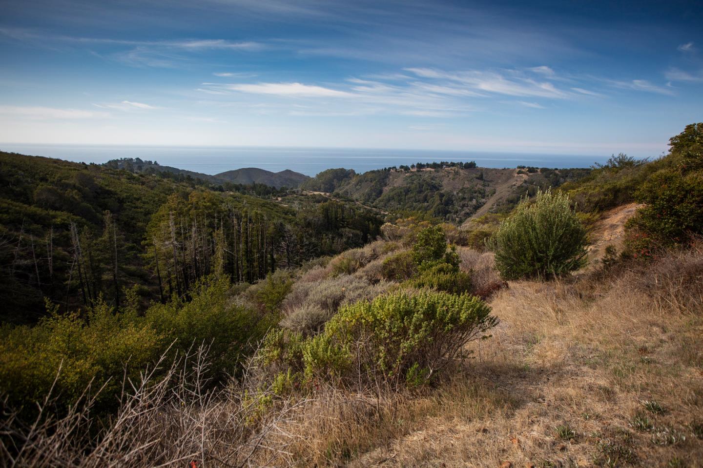 Detail Gallery Image 12 of 18 For 46286 Pfeiffer Ridge Rd, Big Sur Coast,  CA 93920 - – Beds | – Baths